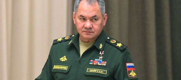 Министр обороны РФ Сергей Шойгу - Sputnik Беларусь