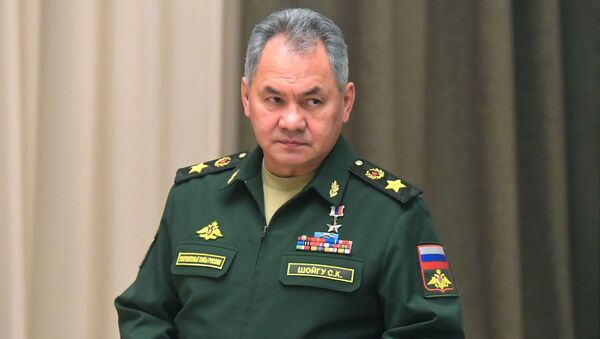 Министр обороны РФ Сергей Шойгу - Sputnik Беларусь