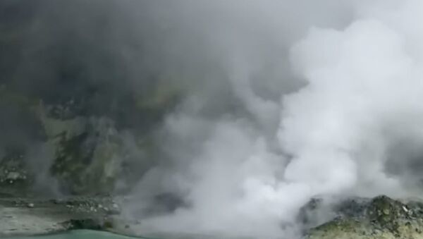 Извержение вулкана в Новой Зеландии - Sputnik Беларусь