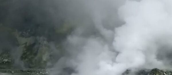 Извержение вулкана в Новой Зеландии - Sputnik Беларусь