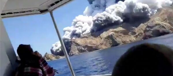 Извержение вулкана в Новой Зеландии - Sputnik Беларусь