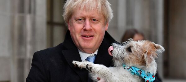 Премьер-министр Великобритании Борис Джонсон пришел на избирательный участок со своей собакой Дилин - Sputnik Беларусь