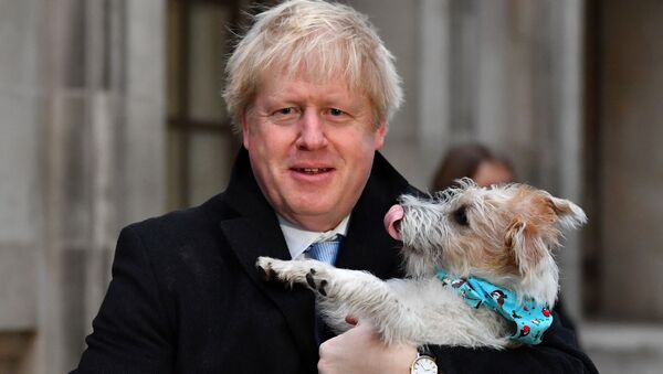 Премьер-министр Великобритании Борис Джонсон пришел на избирательный участок со своей собакой Дилин - Sputnik Беларусь