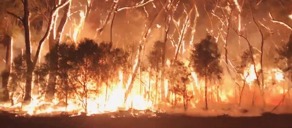 Масштабный пожар охватил национальный парк в Австралии - Sputnik Беларусь