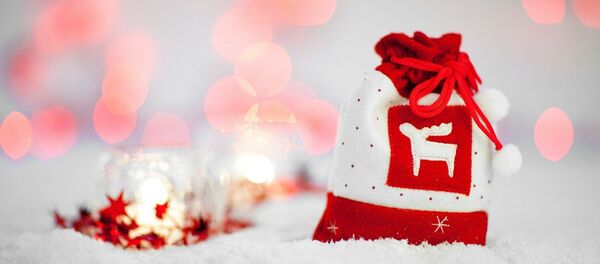 Подарок на Новый год - Sputnik Беларусь