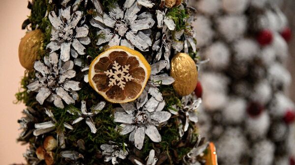 Новогодние елки - Sputnik Беларусь