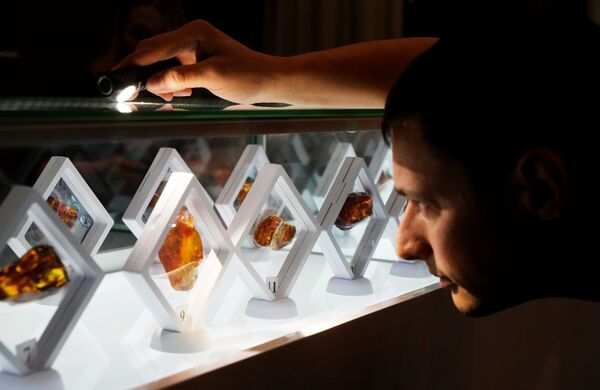 Редкий янтарь продали на аукционе в Калининграде – цена взлетела в 25 раз - Sputnik Беларусь