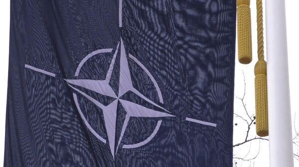 НАТО на пороге развала: сможет ли альянс сохранить единство? - Sputnik Беларусь