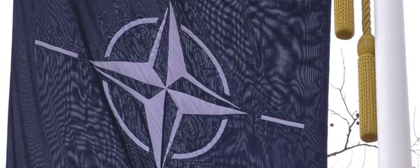 НАТО на пороге развала: сможет ли альянс сохранить единство? - Sputnik Беларусь