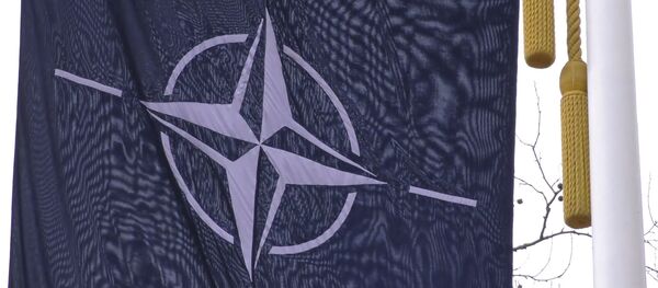 Развал НАТА: ці зможа альянс захаваць адзінства - Sputnik Беларусь
