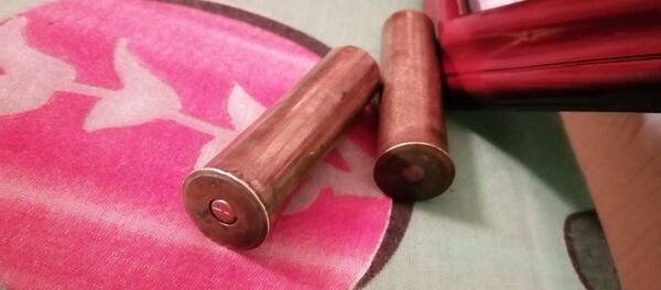 Найденные у мужчины патроны - Sputnik Беларусь