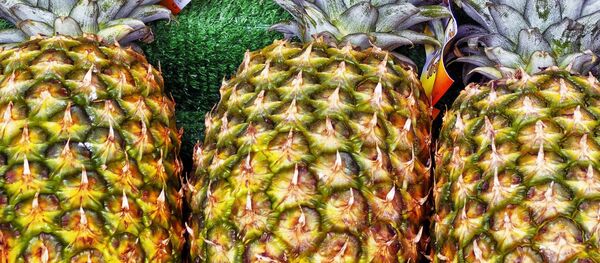 Ананасы, архивное фото - Sputnik Беларусь