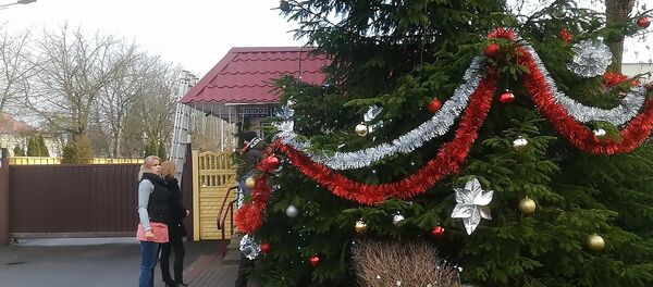 Настоящее чудо в Новый год - Sputnik Беларусь