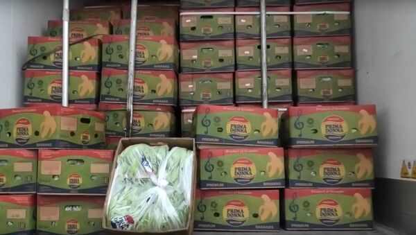Таможенники не пустили в Беларусь 100 тонн бананов из России, видео - Sputnik Беларусь