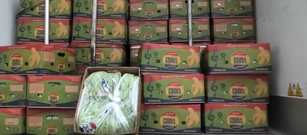 Таможенники не пустили в Беларусь 100 тонн бананов из России, видео - Sputnik Беларусь