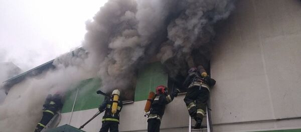 Пожар произошел на предприятии Мостовдрев Пожар произошел на предприятии Мостовдрев - Sputnik Беларусь