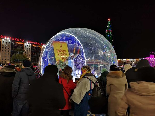 Без снега, но с позитивом: в Витебске зажгли главную елку - Sputnik Беларусь