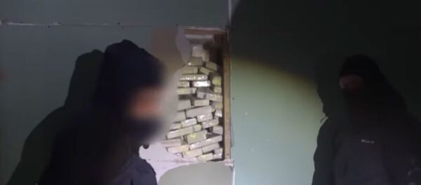 Изъята самая крупная партия героина за всю историю Беларуси - Sputnik Беларусь