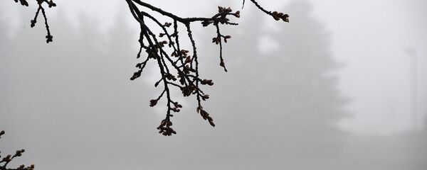 Туман в Минске - Sputnik Беларусь