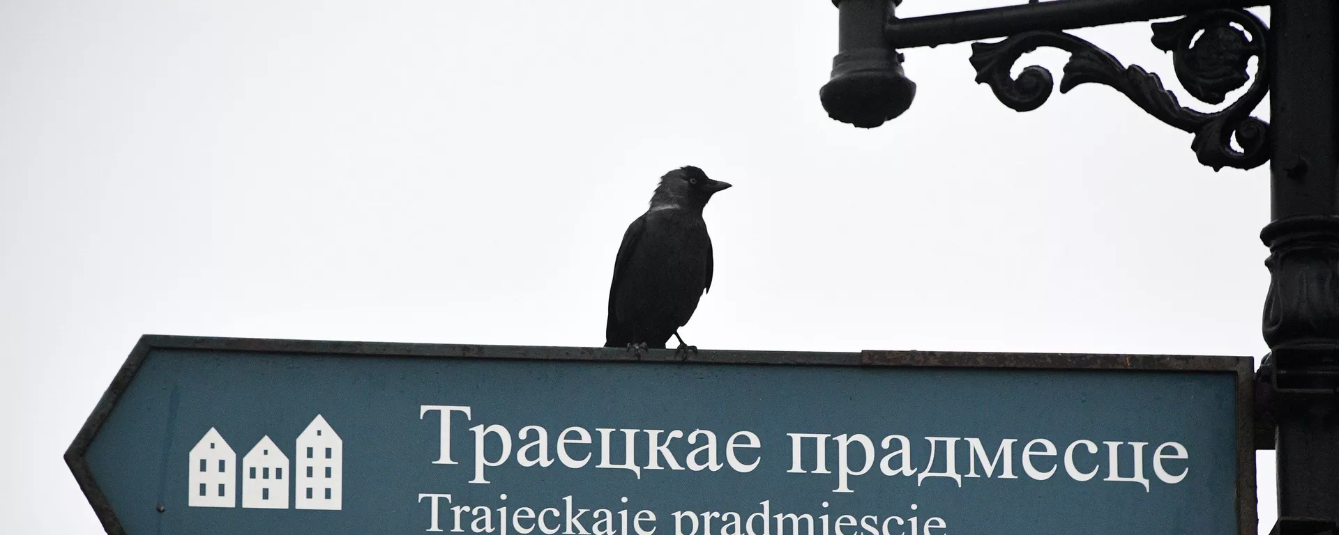 Туман в Минске - Sputnik Беларусь, 1920, 23.02.2021