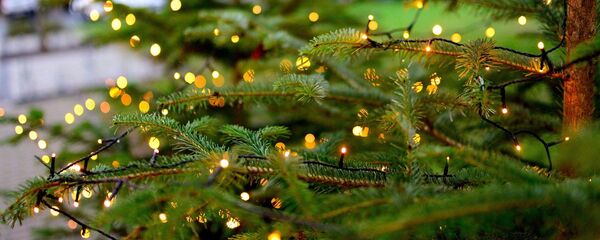 Навагодняя елка, архіўнае фота Навагодняя елка, архіўнае фота - Sputnik Беларусь