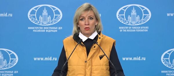 Видеофакт: Захарова провела брифинг в желтой жилетке в поддержку Sputnik Видеофакт: Захарова провела брифинг в желтой жилетке в поддержку Sputnik - Sputnik Беларусь