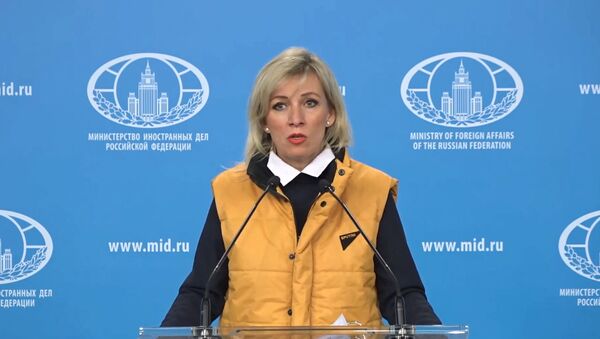 Видеофакт: Захарова провела брифинг в желтой жилетке в поддержку Sputnik - Sputnik Беларусь