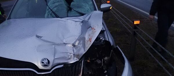 Машина, сбившая женщину - Sputnik Беларусь