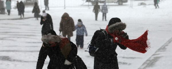 Прохожие во время снегопада - Sputnik Беларусь
