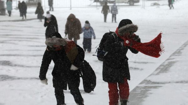 Прахожыя падчас снегападу - Sputnik Беларусь