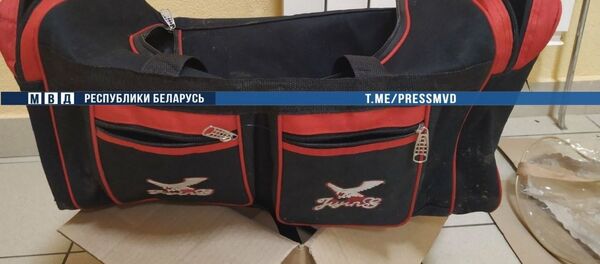 Сумка, в которой были обнаружены останки человека - Sputnik Беларусь