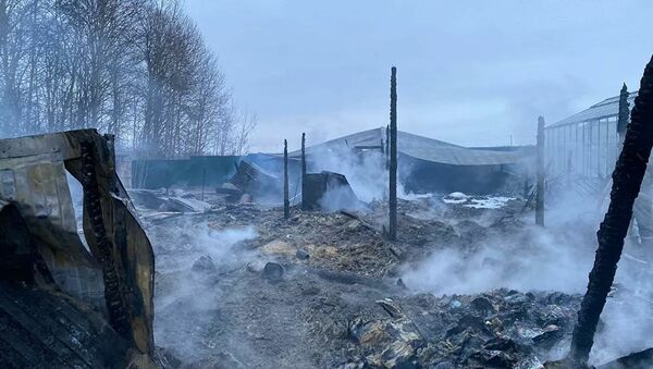 Восемь человек погибли при пожаре в тепличном хозяйстве в Раменском районе Подмосковья - Sputnik Беларусь