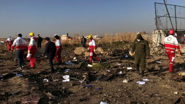 Пассажирский Boeing 737 потерпел крушение в Иране  - Sputnik Беларусь