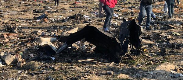 Крушение украинского самолета в Иране - Sputnik Беларусь