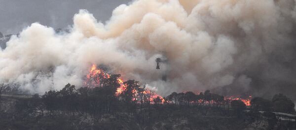 Лесные пожары в Австралии - Sputnik Беларусь