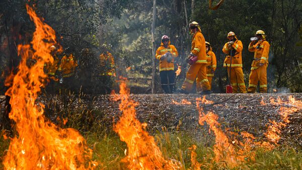 Лесной пожар в Австралии - Sputnik Беларусь