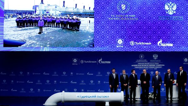 Президенты России и Турции принимают участие в официальной церемонии открытия газопровода Турецкий поток  - Sputnik Беларусь