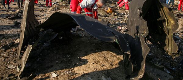 Крушение украинского самолета в Иране - Sputnik Беларусь