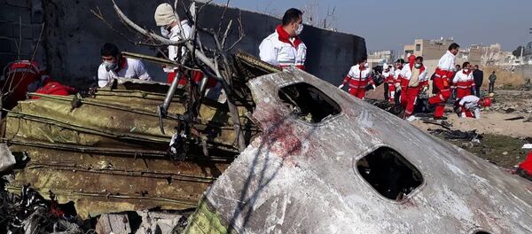 Крушение украинского самолета в Иране - Sputnik Беларусь