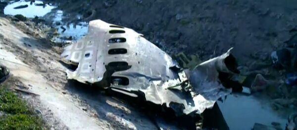 Что известно о крушении самолета в Иране? - Sputnik Беларусь