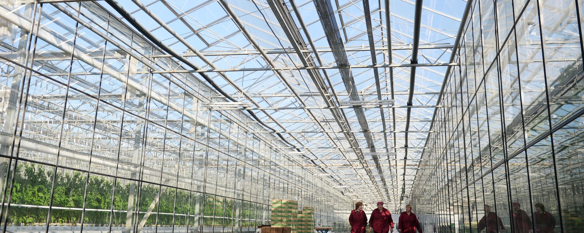 Цяпліца, архіўнае фота - Sputnik Беларусь, 1920, 02.09.2025