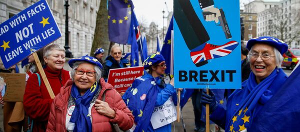 Демонстрация против Brexit в Лондоне Демонстрация против Brexit в Лондоне - Sputnik Беларусь