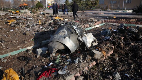 Крушение украинского самолета в Иране - Sputnik Беларусь
