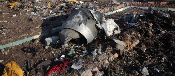 Крушение украинского самолета в Иране - Sputnik Беларусь