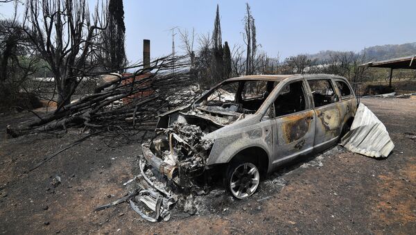 Сгоревшая машина после лесного пожара в Австралии - Sputnik Беларусь