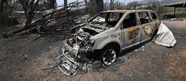 Сгоревшая машина после лесного пожара в Австралии Сгоревшая машина после лесного пожара в Австралии - Sputnik Беларусь