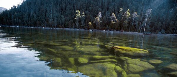 Озеро Байкал. Баргузинский заповедник Озеро Байкал. Баргузинский заповедник - Sputnik Беларусь