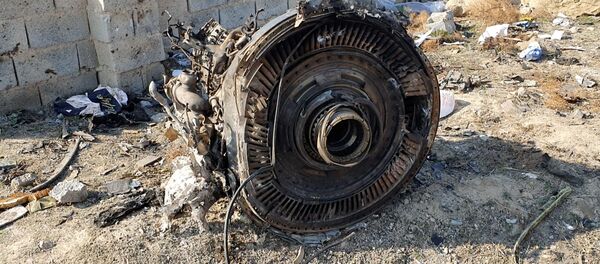 Двигатель сбитого в Иране самолета МАУ - Sputnik Беларусь