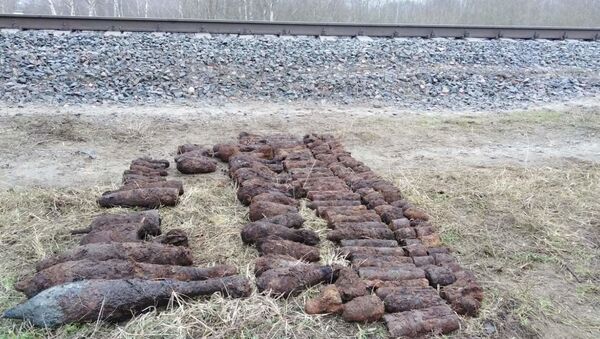 Боеприпасы, найденные под Пинском - Sputnik Беларусь