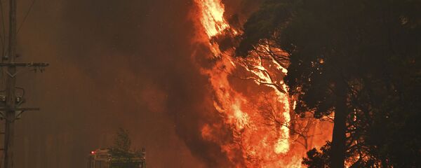 Австралия горит каждый сезон, но таких страшных пожаров здесь еще не видели - Sputnik Беларусь